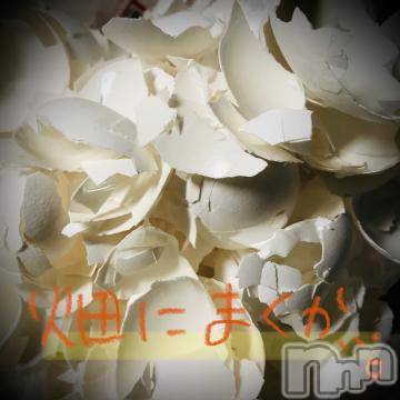 新潟デリヘル 五十路マダム新潟店(カサブランカグループ)(イソジマダムニイガタテン) 浅見怜(49)の12月10日写メブログ「むいたあとは。。」