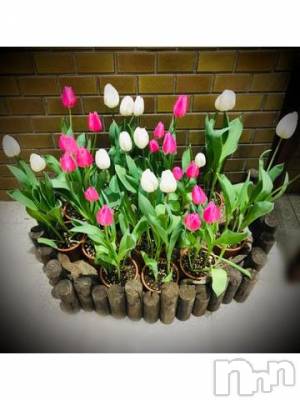 新潟デリヘル 五十路マダム新潟店(カサブランカグループ)(イソジマダムニイガタテン) 浅見怜(49)の2月3日写メブログ「[お題]お願いごと？？from:井上パンダさん」