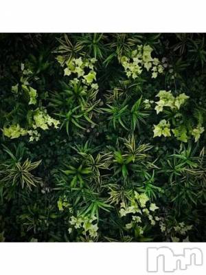 新潟デリヘル 五十路マダム新潟店(カサブランカグループ)(イソジマダムニイガタテン) 浅見怜(49)の2月12日写メブログ「[お題]『美』意識☆from:yamato103さん」