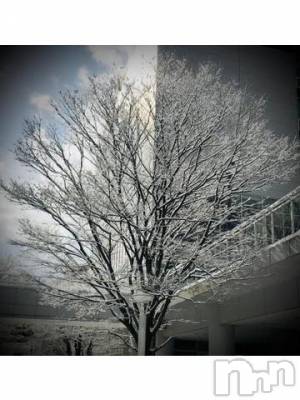 新潟デリヘル 五十路マダム新潟店(カサブランカグループ)(イソジマダムニイガタテン) 浅見怜(49)の2月17日写メブログ「うゎぁぁぁん。。」