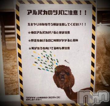 新潟デリヘル 五十路マダム新潟店(カサブランカグループ)(イソジマダムニイガタテン) 浅見怜(49)の3月8日写メブログ「ツバが。。」