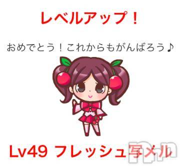 新潟デリヘル 五十路マダム新潟店(カサブランカグループ)(イソジマダムニイガタテン) 浅見怜(49)の3月28日写メブログ「[お題]イレたくなぃ。。from:わんわんのしつけ方さん」