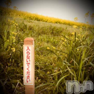 新潟デリヘル 五十路マダム新潟店(カサブランカグループ)(イソジマダムニイガタテン) 浅見怜(49)の4月23日写メブログ「初めて見たっっ！！」