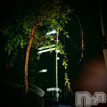 新潟デリヘル 五十路マダム新潟店(カサブランカグループ)(イソジマダムニイガタテン) 浅見怜(49)の5月1日写メブログ「おはょ。。にゃぁん。。」