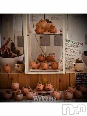 新潟デリヘル 五十路マダム新潟店(カサブランカグループ)(イソジマダムニイガタテン) 浅見怜(49)の5月6日写メブログ「やっぱり、欲しかったなぁ。。」