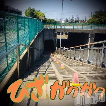 新潟デリヘル 五十路マダム新潟店(カサブランカグループ)(イソジマダムニイガタテン) 浅見怜(49)の5月31日写メブログ「転げ落ちそ。。」