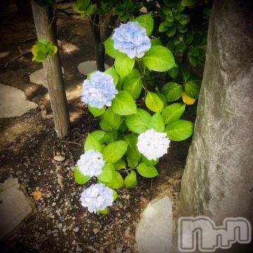 新潟デリヘル 五十路マダム新潟店(カサブランカグループ)(イソジマダムニイガタテン) 浅見怜(49)の7月5日写メブログ「[お題]ツーショットぉfrom:花屋さん」