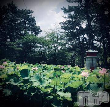 新潟デリヘル 五十路マダム新潟店(カサブランカグループ)(イソジマダムニイガタテン) 浅見怜(49)の7月11日写メブログ「[お題]アレルギー。。from:しょうりゅうまいさん」