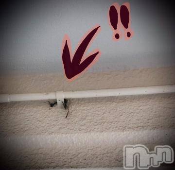 新潟デリヘル 五十路マダム新潟店(カサブランカグループ)(イソジマダムニイガタテン) 浅見怜(49)の7月27日写メブログ「始まり☆」