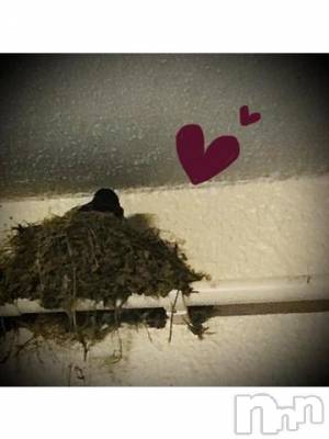 新潟デリヘル 五十路マダム新潟店(カサブランカグループ)(イソジマダムニイガタテン) 浅見怜(49)の7月27日写メブログ「ものがたりVol.４☆」