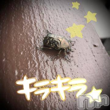 新潟デリヘル 五十路マダム新潟店(カサブランカグループ)(イソジマダムニイガタテン) 浅見怜(49)の8月12日写メブログ「[お題]アイドルぅ？？from:キュンとしちゃうさん」