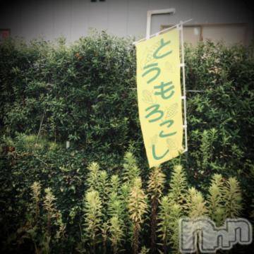 新潟デリヘル 五十路マダム新潟店(カサブランカグループ)(イソジマダムニイガタテン) 浅見怜(49)の8月25日写メブログ「とうきび☆」