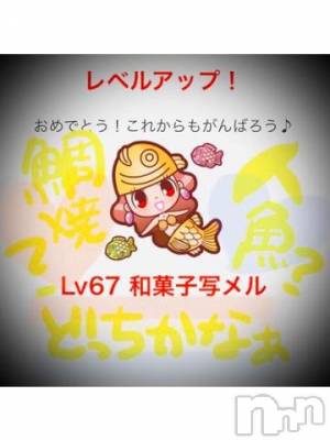 新潟デリヘル 五十路マダム新潟店(カサブランカグループ)(イソジマダムニイガタテン) 浅見怜(49)の8月26日写メブログ「[お題]酒の陣☆from:わかめ酒さん」