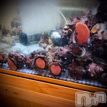 新潟デリヘル 五十路マダム新潟店(カサブランカグループ)(イソジマダムニイガタテン) 浅見怜(49)の8月31日写メブログ「[お題]はぁぁ？？from:もう泣きそうさん」