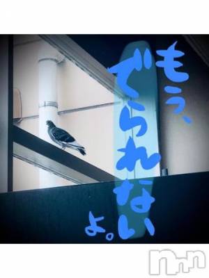 新潟デリヘル 五十路マダム新潟店(カサブランカグループ)(イソジマダムニイガタテン) 浅見怜(49)の8月31日写メブログ「どぅしてぇ？？」