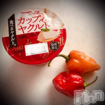 新潟デリヘル 五十路マダム新潟店(カサブランカグループ)(イソジマダムニイガタテン) 浅見怜(49)の9月19日写メブログ「冬季限定☆」