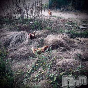 新潟デリヘル 五十路マダム新潟店(カサブランカグループ)(イソジマダムニイガタテン) 浅見怜(49)の9月23日写メブログ「むむむ。。」