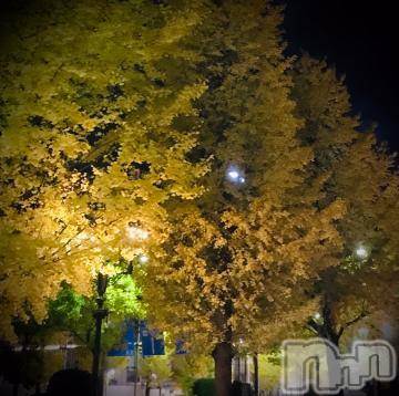 新潟デリヘル 五十路マダム新潟店(カサブランカグループ)(イソジマダムニイガタテン) 浅見怜(49)の11月8日写メブログ「[お題]すき☆from:レッドデビルさん」