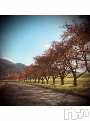 新潟デリヘル 五十路マダム新潟店(カサブランカグループ)(イソジマダムニイガタテン) 浅見怜(49)の11月8日写メブログ「茶色ぃ並木。。」