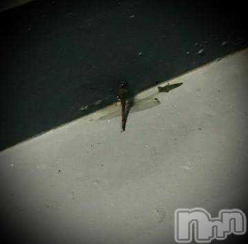 新潟デリヘル 五十路マダム新潟店(カサブランカグループ)(イソジマダムニイガタテン) 浅見怜(49)の11月8日写メブログ「凍える。。。」