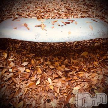 新潟デリヘル 五十路マダム新潟店(カサブランカグループ)(イソジマダムニイガタテン) 浅見怜(49)の11月17日写メブログ「ハゲ坊主。。☆」