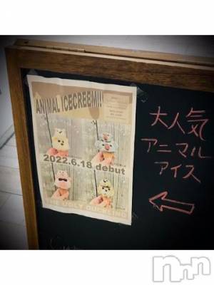 新潟デリヘル 五十路マダム新潟店(カサブランカグループ)(イソジマダムニイガタテン) 浅見怜(49)の11月18日写メブログ「[お題]和み？！from:ふいのしゃっくりさん」