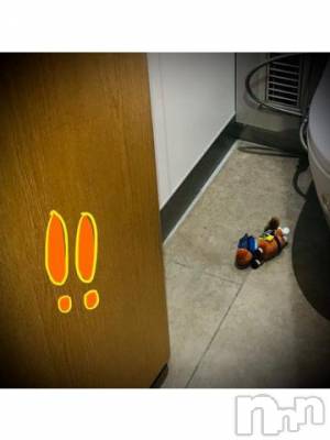 新潟デリヘル 五十路マダム新潟店(カサブランカグループ)(イソジマダムニイガタテン) 浅見怜(49)の11月21日写メブログ「すごぃ個室☆」