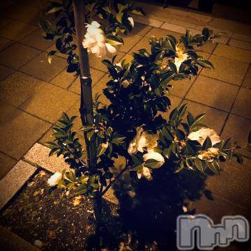 新潟デリヘル 五十路マダム新潟店(カサブランカグループ)(イソジマダムニイガタテン) 浅見怜(49)の11月29日写メブログ「[お題]むむむ。。from:娘にだけは愛されたいさん」