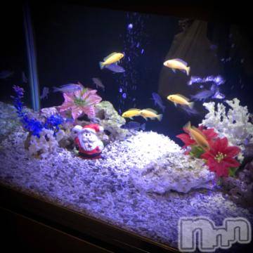 新潟デリヘル 五十路マダム新潟店(カサブランカグループ)(イソジマダムニイガタテン) 浅見怜(49)の11月30日写メブログ「キテネ。。」