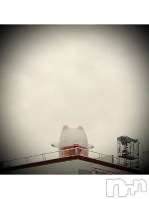 新潟デリヘル 五十路マダム新潟店(カサブランカグループ)(イソジマダムニイガタテン) 浅見怜(49)の12月3日写メブログ「放射冷却。。」