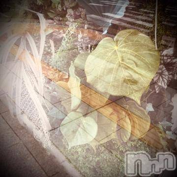 新潟デリヘル 五十路マダム新潟店(カサブランカグループ)(イソジマダムニイガタテン) 浅見怜(49)の1月19日写メブログ「ぽかぽかぁ？」