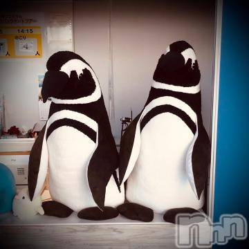 新潟デリヘル 五十路マダム新潟店(カサブランカグループ)(イソジマダムニイガタテン) 浅見怜(49)の2月11日写メブログ「居なかった。。。」