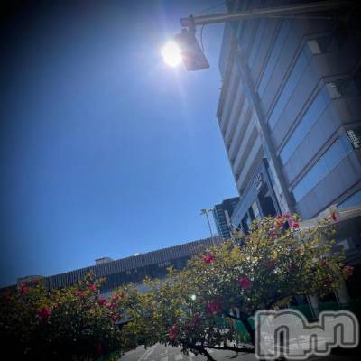 新潟デリヘル 五十路マダム新潟店(カサブランカグループ)(イソジマダムニイガタテン) 浅見怜(49)の2月21日写メブログ「おひさま。。」