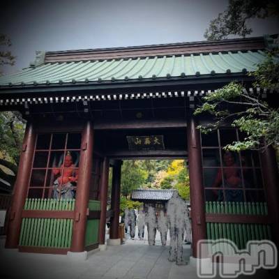 新潟デリヘル 五十路マダム新潟店(カサブランカグループ)(イソジマダムニイガタテン) 浅見怜(49)の3月2日写メブログ「あっちも、コッチも、初めて。。」