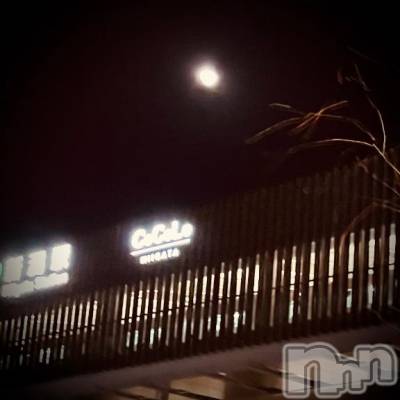 新潟デリヘル 五十路マダム新潟店(カサブランカグループ)(イソジマダムニイガタテン) 浅見怜(49)の3月4日写メブログ「ゆらゆらゆらゆら。。」