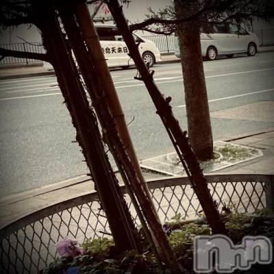 新潟デリヘル 五十路マダム新潟店(カサブランカグループ)(イソジマダムニイガタテン) 浅見怜(49)の3月27日写メブログ「オシノコ。。」