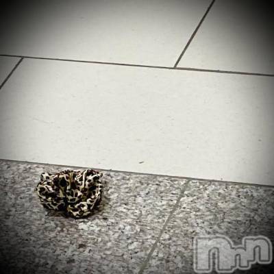 新潟デリヘル 五十路マダム新潟店(カサブランカグループ)(イソジマダムニイガタテン) 浅見怜(49)の4月1日写メブログ「[お題]んー。。んんんー。。from:二輪免許さん」