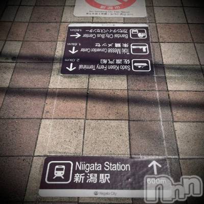 新潟デリヘル 五十路マダム新潟店(カサブランカグループ)(イソジマダムニイガタテン) 浅見怜(49)の4月17日写メブログ「ソコ？ここ？アソコ？」