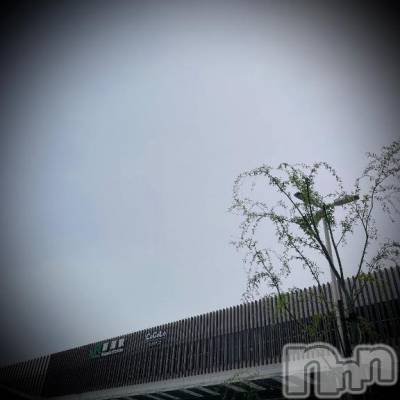 新潟デリヘル 五十路マダム新潟店(カサブランカグループ)(イソジマダムニイガタテン) 浅見怜(49)の4月30日写メブログ「晴れ、散歩。。」