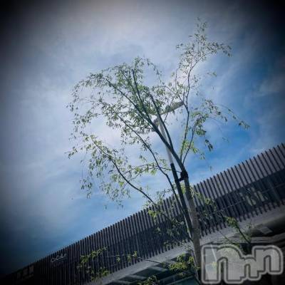新潟デリヘル 五十路マダム新潟店(カサブランカグループ)(イソジマダムニイガタテン) 浅見怜(49)の5月24日写メブログ「[お題]ふふ。。from:プーさんだよさん」
