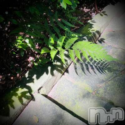 新潟デリヘル 五十路マダム新潟店(カサブランカグループ)(イソジマダムニイガタテン) 浅見怜(49)の7月11日写メブログ「メインの、前に。。」