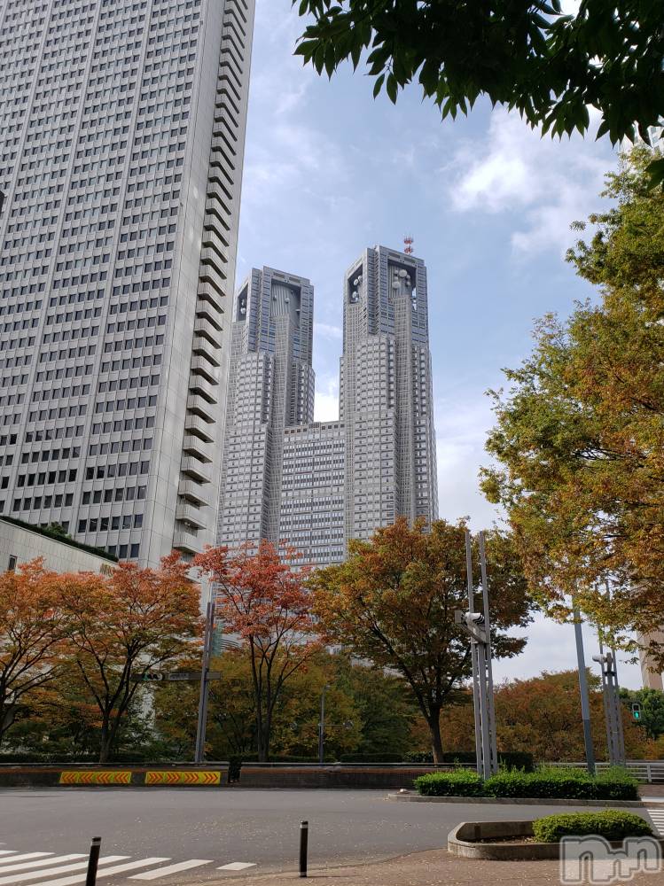 上越風俗エステ上越風俗出張アロママッサージ(ジョウエツフウゾクシュッチョウアロママッサージ) あやの★限定出勤＾＾(35)の11月2日写メブログ「11月になりましたね」