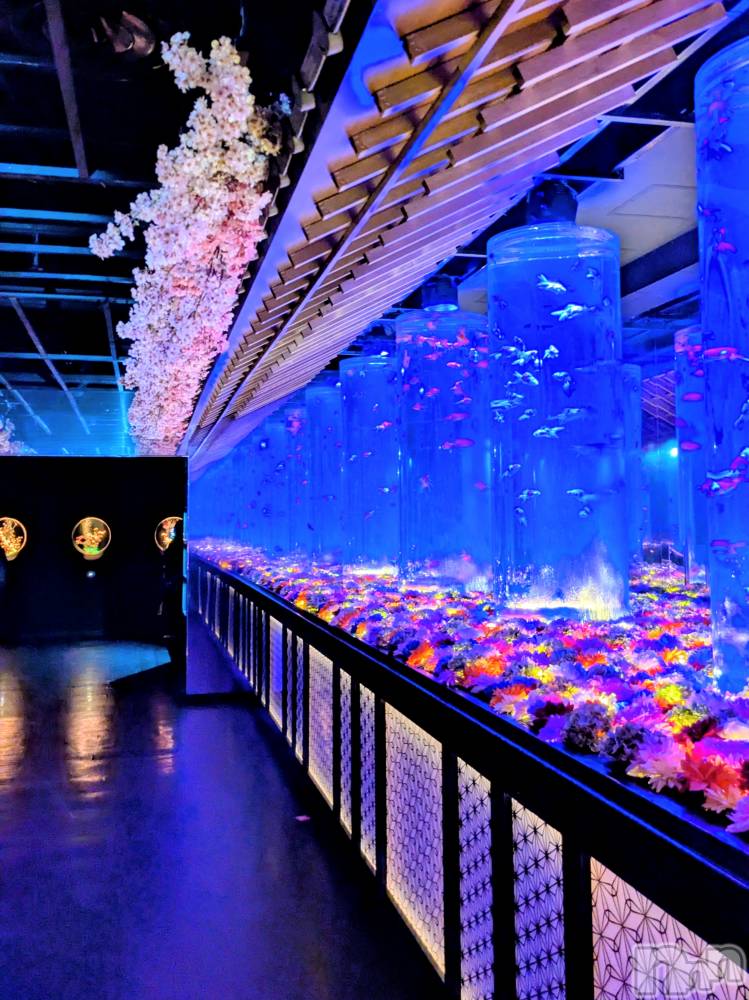 上越デリヘル上越風俗出張アロママッサージ(ジョウエツフウゾクシュッチョウアロママッサージ) あやの★限定出勤＾＾(35)の4月3日写メブログ「新年度！上越出勤中♪」