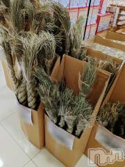 上越デリヘル上越風俗出張アロママッサージ(ジョウエツフウゾクシュッチョウアロママッサージ) あやの★限定出勤＾＾(35)の12月5日写メブログ「残り2日間となりました」