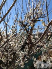 上越デリヘル上越風俗出張アロママッサージ(ジョウエツフウゾクシュッチョウアロママッサージ) あやの★限定出勤＾＾(35)の3月6日写メブログ「こんばんは」