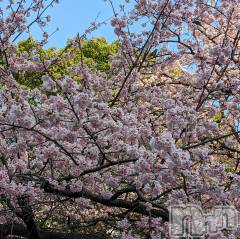 上越デリヘル上越風俗出張アロママッサージ(ジョウエツフウゾクシュッチョウアロママッサージ) あやの★限定出勤＾＾(35)の3月9日写メブログ「上越に向かいます！」