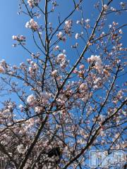 上越デリヘル上越風俗出張アロママッサージ(ジョウエツフウゾクシュッチョウアロママッサージ) あやの★限定出勤＾＾(35)の4月24日写メブログ「4月出勤のお知らせ♪」