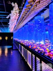 上越デリヘル上越風俗出張アロママッサージ(ジョウエツフウゾクシュッチョウアロママッサージ) あやの★限定出勤＾＾(35)の4月3日写メブログ「新年度！上越出勤中♪」