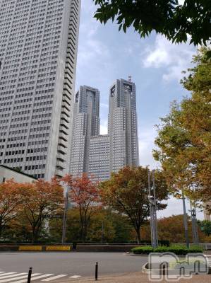 上越デリヘル 上越風俗出張アロママッサージ(ジョウエツフウゾクシュッチョウアロママッサージ) あやの★限定出勤＾＾(35)の11月2日写メブログ「11月になりましたね」