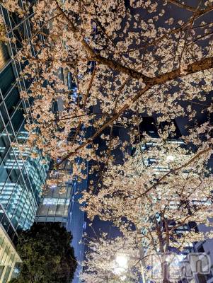 上越デリヘル 上越風俗出張アロママッサージ(ジョウエツフウゾクシュッチョウアロママッサージ) あやの★限定出勤＾＾(35)の4月4日写メブログ「明日から。」